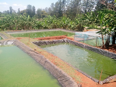 The Eastern Africa Sub-regional working group on Climate-Smart Agriculture meeting convened by FAO Eastern Africa, EAC and COMESA held in Nairobi- Kenya